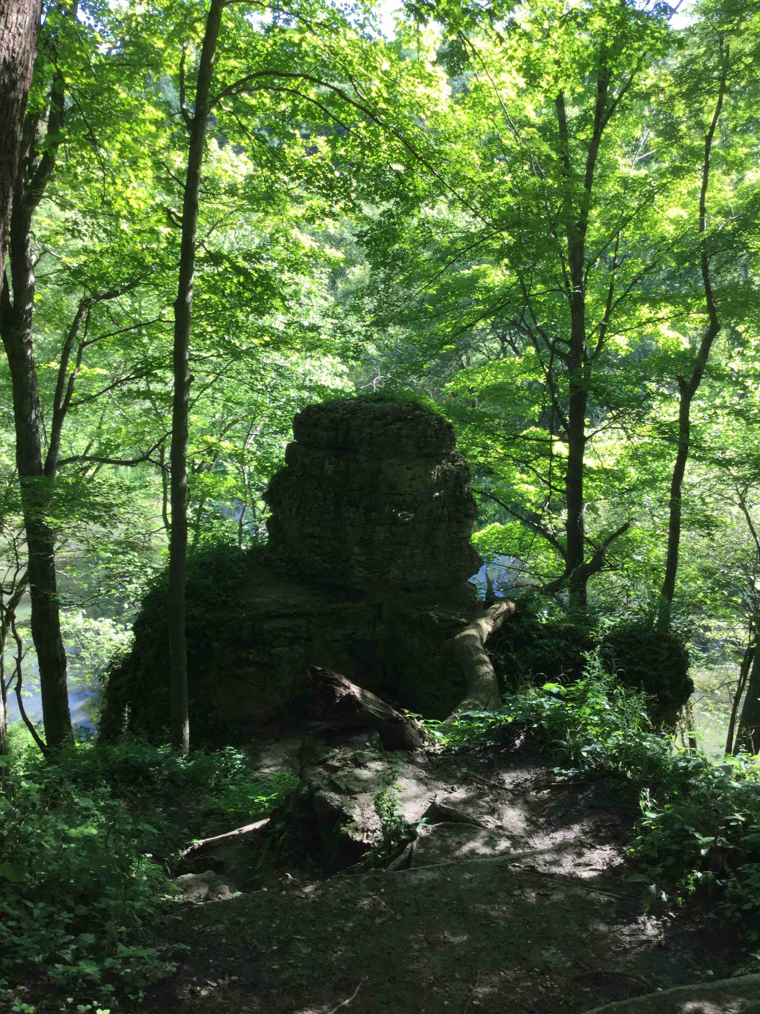 a photo of a dolomite outcropping in Backbone State Park, Iowa