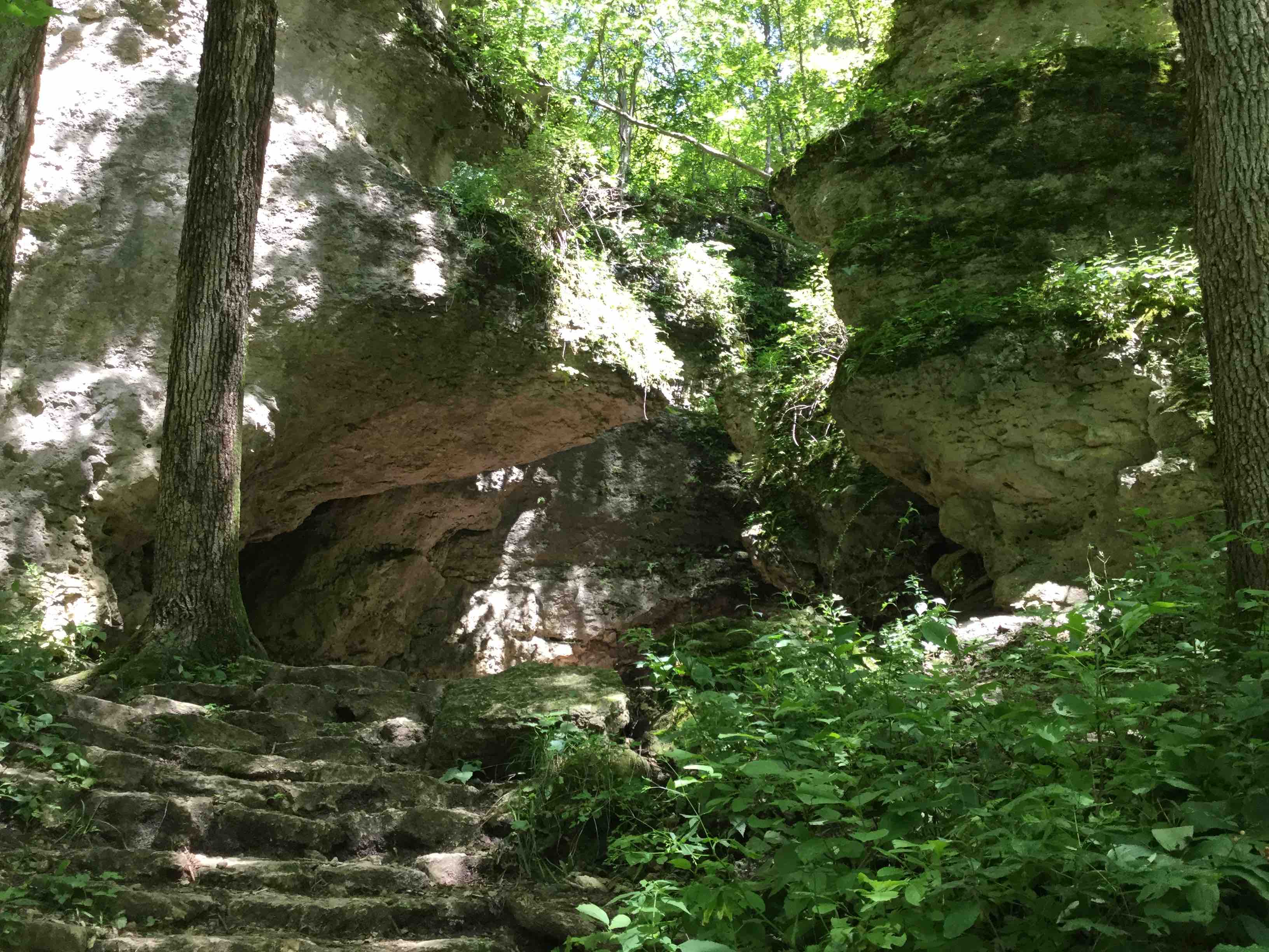 a photo of the entrance to a dolomite cave in Backbone State Park, Iowa