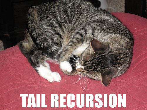 a picture of a cat curled up, with its tail in its front paws, captioned 'tail recursion' in capital letters